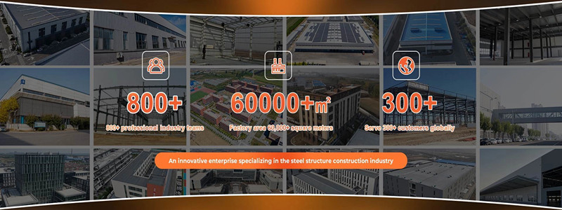 Steel Frame Buildings