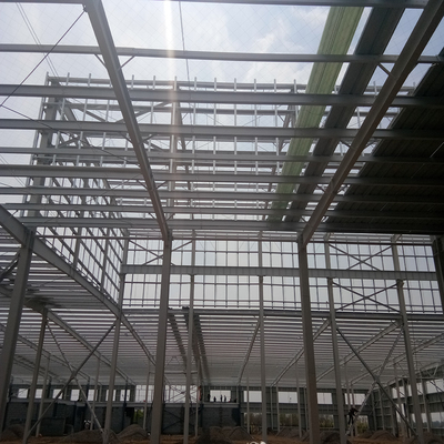Custom Industrial Steel Structure Workshop with Fire Resistance