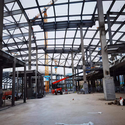 Custom Light Steel Frame Commercial Building with Sandwich Panel