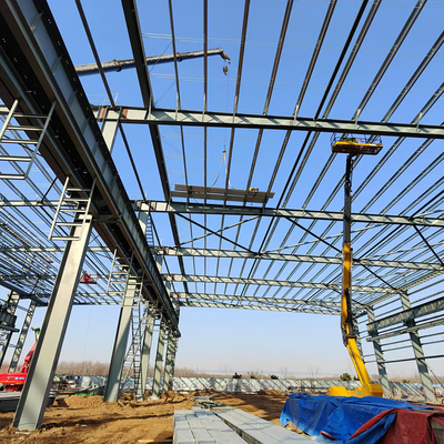 Custom Steel Frame Factory Warehouse Q355B Structure