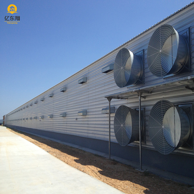 Galvanized Steel Structure Poultry House for 20 Chickens