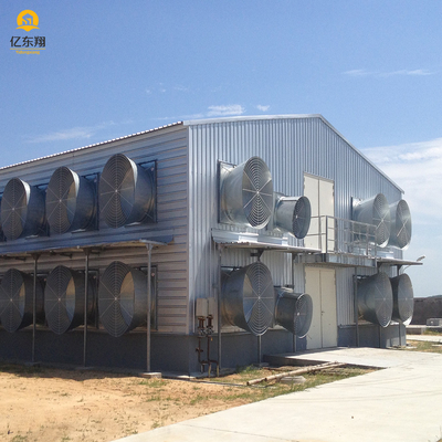 Galvanized Steel Structure Poultry House for 20 Chickens
