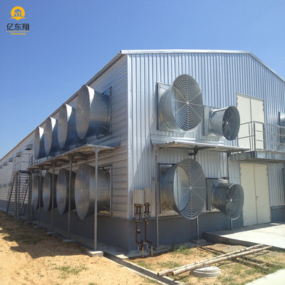 Galvanized Steel Structure Poultry House for 20 Chickens