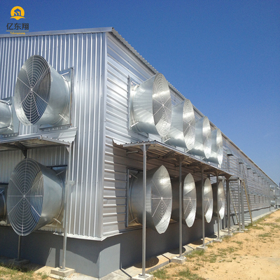 Galvanized Steel Structure Poultry House for 20 Chickens