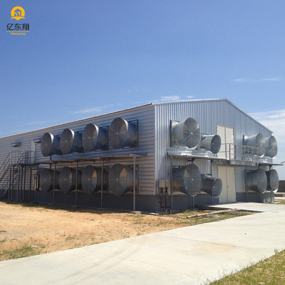 Flexible Steel Structure Poultry House , Large Scale Steel Frame Chicken Coop