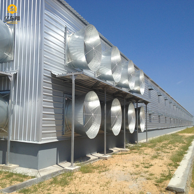 Flexible Steel Structure Poultry House , Large Scale Steel Frame Chicken Coop