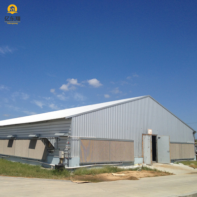 Flexible Steel Structure Poultry House , Large Scale Steel Frame Chicken Coop