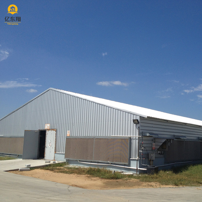 Flexible Steel Structure Poultry House , Large Scale Steel Frame Chicken Coop