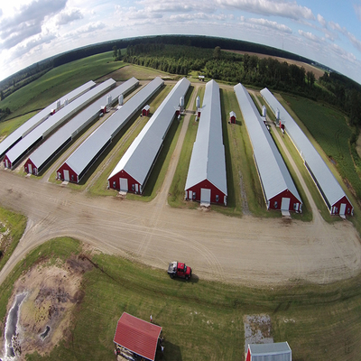 Q235 Q235B Q345 S355 Steel Structure Poultry House / Steel Frame Chicken Coop With Insulated Panels