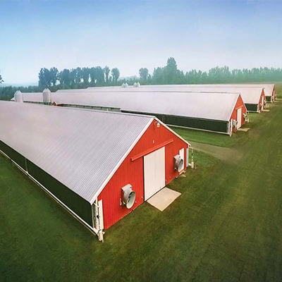 Q235 Q235B Q345 S355 Steel Structure Poultry House / Steel Frame Chicken Coop With Insulated Panels