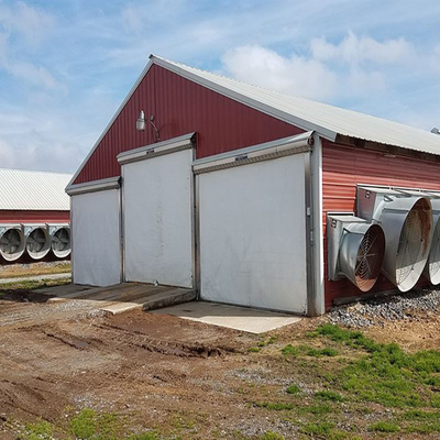 H Beam Steel Structure Poultry House with Q235 Q345 Frame