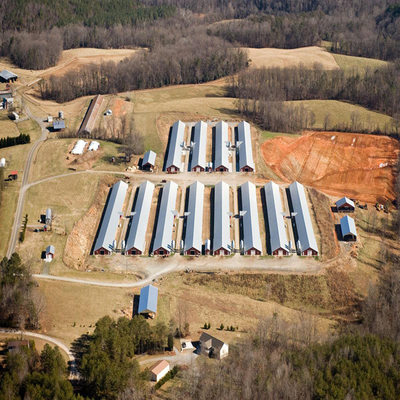 H Beam Steel Structure Poultry House with Q235 Q345 Frame