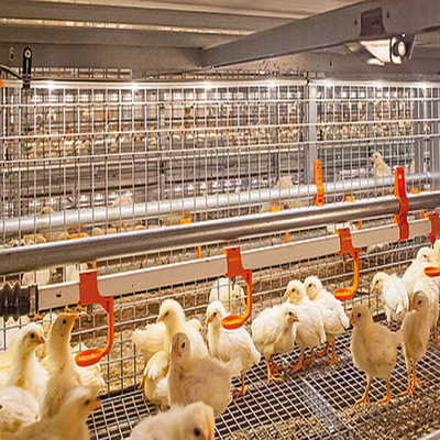 Q235B Galvanized Steel Poultry House / Chicken Coop Steel Frame With Bolts Connection