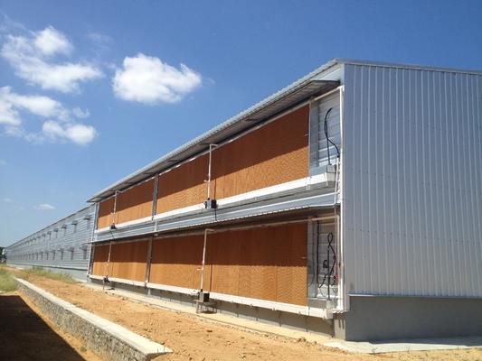 Q235B Galvanized Steel Poultry House / Chicken Coop Steel Frame With Bolts Connection