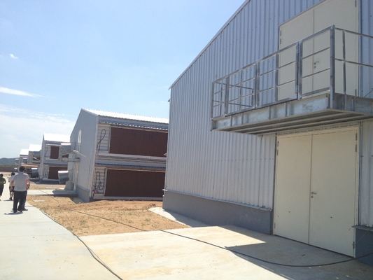 Q235B Galvanized Steel Poultry House / Chicken Coop Steel Frame With Bolts Connection