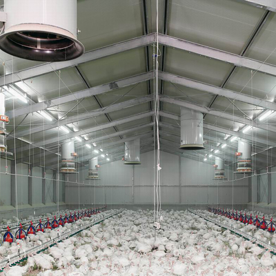 Q235B Galvanized Steel Poultry House / Chicken Coop Steel Frame With Bolts Connection