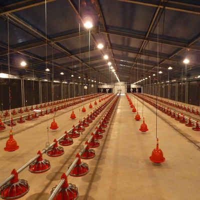 Q235B Galvanized Steel Poultry House / Chicken Coop Steel Frame With Bolts Connection