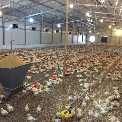 Q235B Galvanized Steel Poultry House / Chicken Coop Steel Frame With Bolts Connection