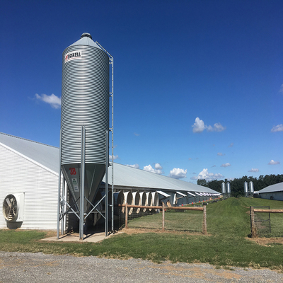 Steel Frame Chicken House Prefabricated Poultry Building Q235 Q345B
