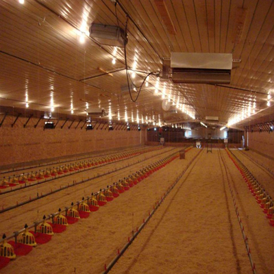 Fully Automated Modular Steel Construction Fireproof Prefab Farm Buildings